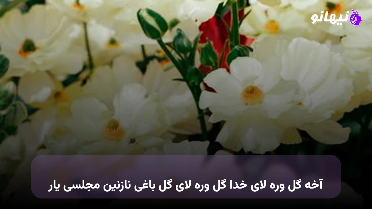 دانلود آهنگ آخه گل وره لای خدا گل وره لای گل باغی نازنین مجلسی یار